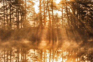 Ağaçların arasından sersemletici bir gün doğumu ve durgun göle yansıyan
