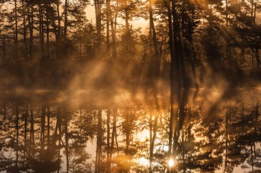 Ağaçların arasından sersemletici bir gün doğumu ve durgun göle yansıyan