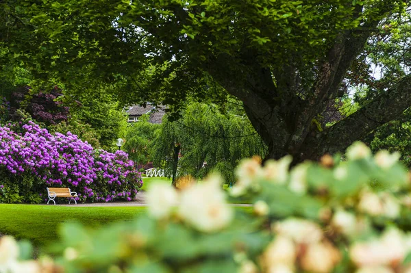 Empty Bench Garden Sweden — Stock Photo, Image