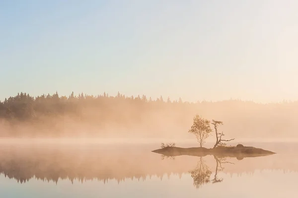 Petite Île Avec Des Arbres Sur Lac Brumeux — Photo