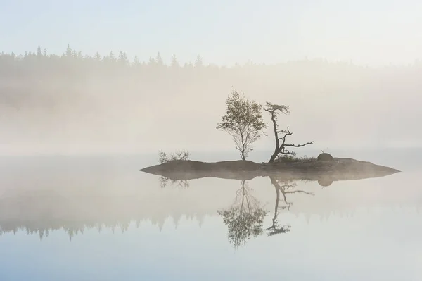 Pequena Ilha Com Árvores Lago Nebuloso — Fotografia de Stock