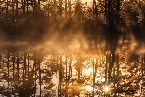 Prachtige Zonsopgang Door Bomen Weerspiegeld Nog Meer — Stockfoto