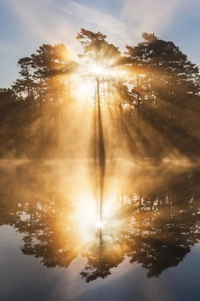 Superbe Lever Soleil Travers Les Arbres Réfléchi Sur Lac Calme — Photo