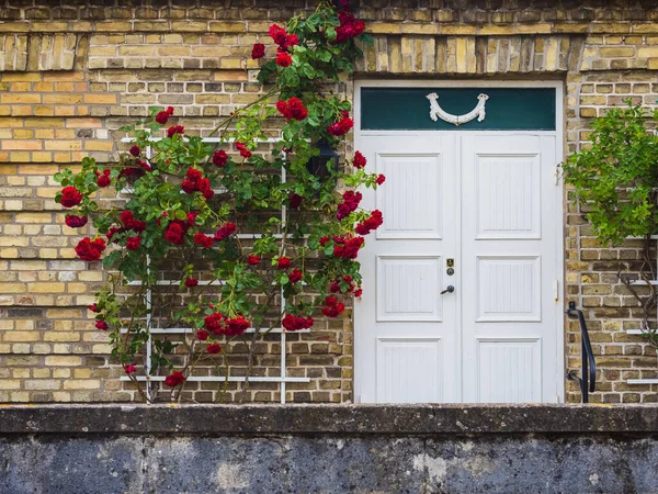 Çiçek ve bitkilerle dolu güzel kırmızı tuğla duvar