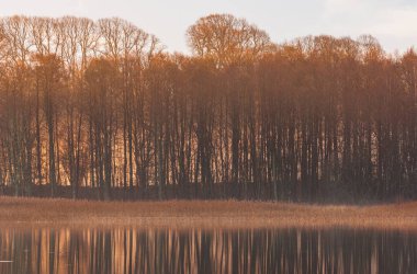 Ağaçlı ve yansımalı güzel sonbahar manzarası