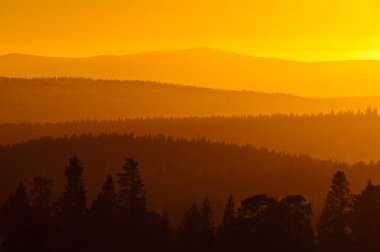 Siluet, Valdalsfjellet, Hedmark fylke, Norveç ve Avrupa 'daki ormanların üzerinde gün batımı
