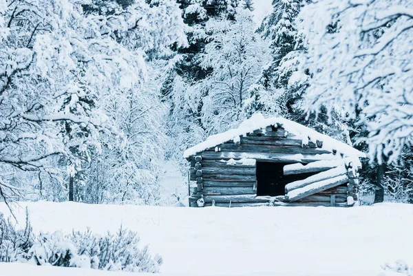 Antiguo Granero Madera Frente Bosque Cubierto Nieve — Foto de Stock