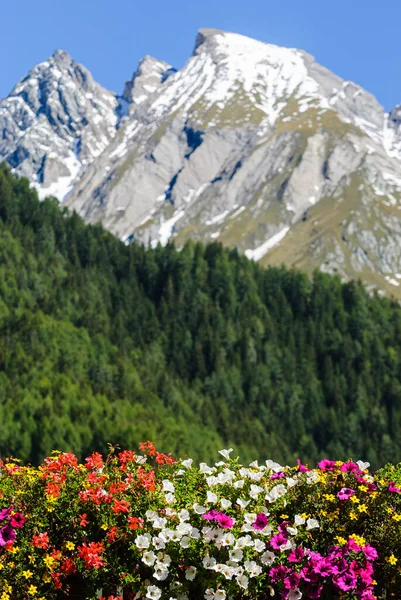 Flores Frente Paisagem Montanhosa — Fotografia de Stock