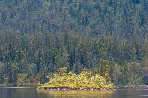 Isla Soleada Con Árboles Lago — Foto de Stock