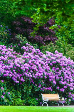 Bahçedeki boş bank, İsveç.