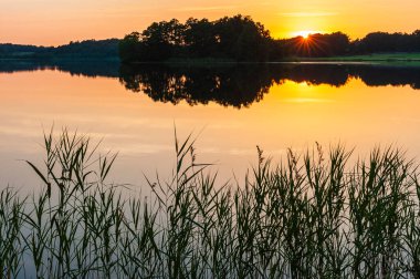 Gün batımında sakin gölün önündeki sazlıklar