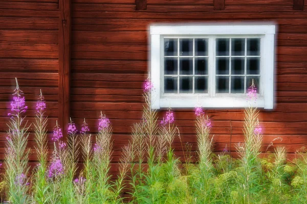欧洲奥斯特特兰的农舍窗户 — 图库照片