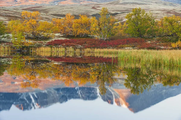 Odraz Hor Malém Jezírku Národní Park Rondane Norsko Evropa — Stock fotografie