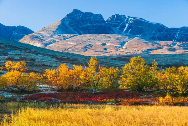 Horská Krajina Podzimními Barvami — Stock fotografie