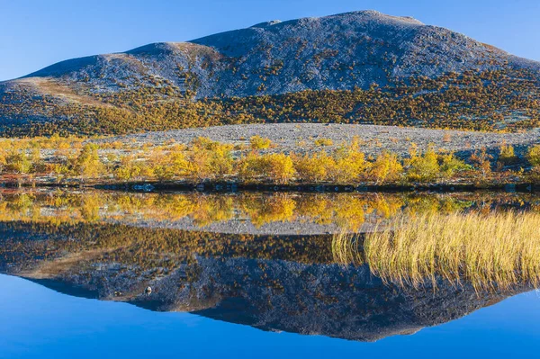 Riflessione Degli Alberi Autunnali Piccolo Lago Parco Nazionale Rondane Norvegia — Foto Stock