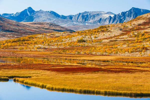 Podzimní Barvy Horské Scenérii Norsko — Stock fotografie