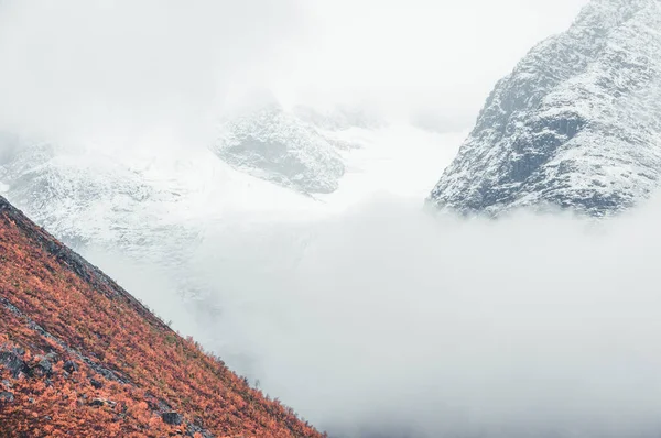 Árvores Encosta Frente Montanhas Cobertas Neve — Fotografia de Stock