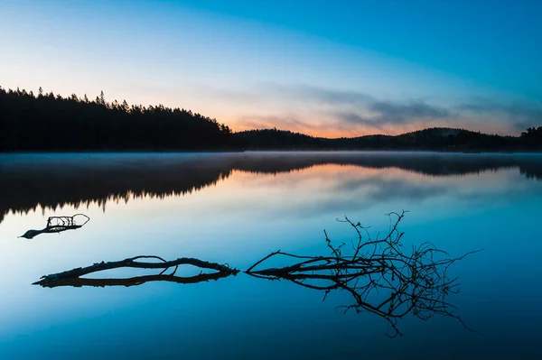 Дерево Лежащее Озере Рассвете — стоковое фото