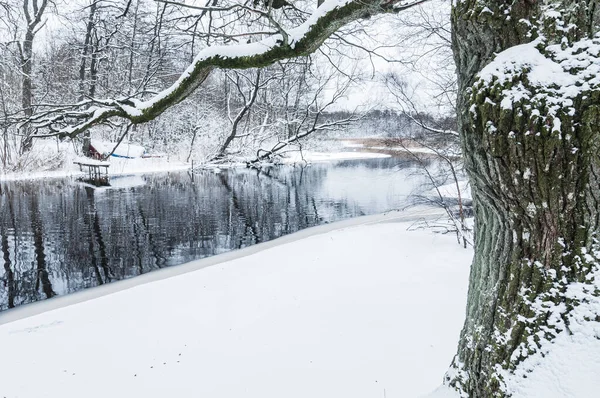 Verschneiter Wald Fluss — Stockfoto