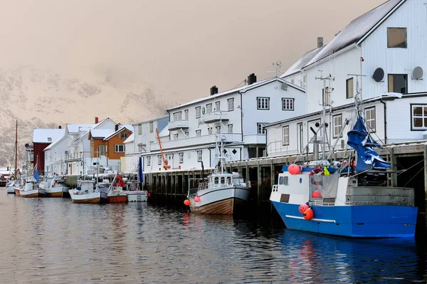 Boten Afgemeerd Een Haven Door Sommige Huizen — Stockfoto