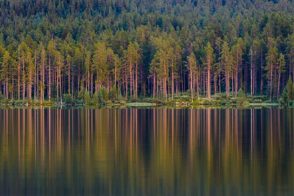 Orman ve Göl, Lofsdalen, Harjedalen, İsveç