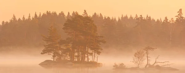 Остров Деревьями Туманное Утро — стоковое фото
