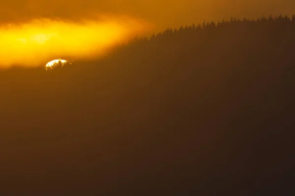 Slunce Vychází Nad Lesem Švédsko — Stock fotografie