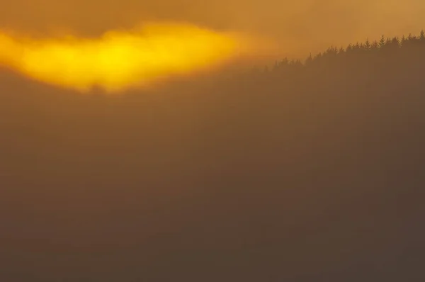 Slunce Vychází Nad Lesem Švéde — Stock fotografie