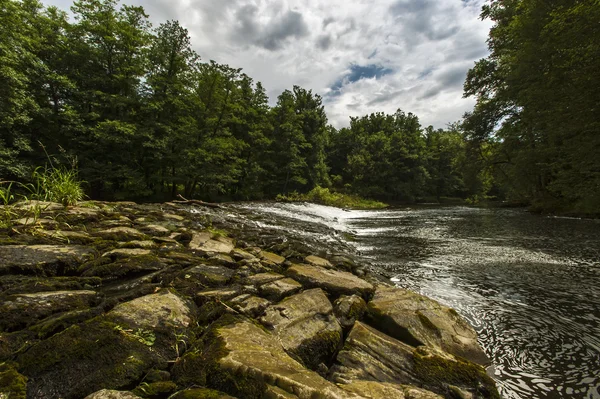 Flusslandschaft