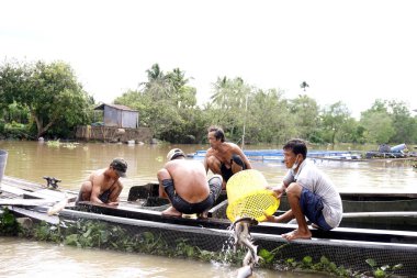 Erkekler sallarda çiftlik balığı bırakır.