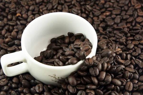 Coffee bean in cup — Stock Photo, Image