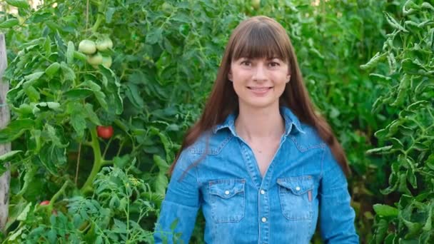 Krásná farmářka ženy v zeleném domě rajčat ukazující palec nahoru. Zemědělství podnikání. — Stock video