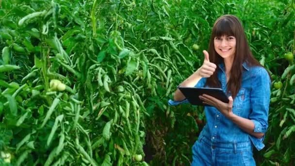 Agricultora mujer en invernadero comprueba calidad de tomate mostrando pulgar hacia arriba.. — Vídeos de Stock