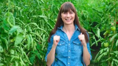 Yeşil domates evindeki güzel çiftçi kadın. Tarım işi..