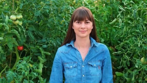 토마토를 파는 녹색 집에 사는 아름다운 여성 농부들 이 농업 관련 사업을 하고 있습니다.. — 비디오
