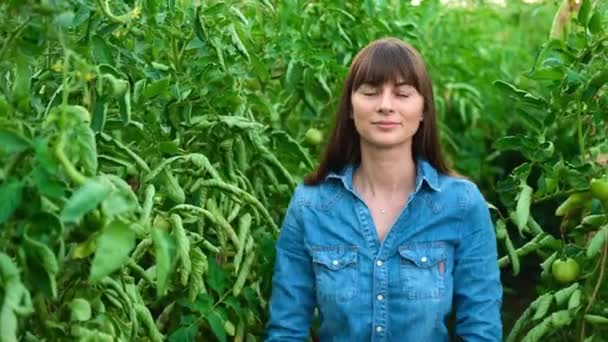 Vackra bonde kvinnliga kvinnor i växthus tomat visar tummen upp.Jordbruk företag. — Stockvideo