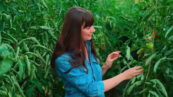 Bonito agricultor mulheres do sexo feminino em casa verde de tomate mostrando polegar para cima.. — Vídeo de Stock