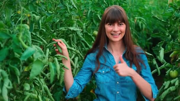 Bonito agricultor mulheres do sexo feminino em casa verde de tomate mostrando polegar para cima.. — Vídeo de Stock