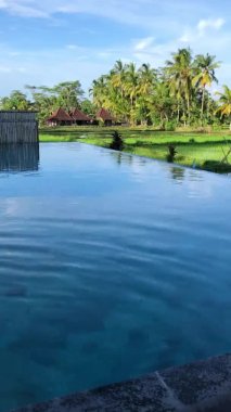 Bali adasındaki pirinç teraslarına ve palmiyelere tepeden bakan sonsuz havuza yüzen güzel kadınlar görülüyor. Palmiye ağaçları suya yansıyor..