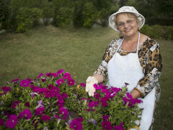 Bahçedeki renkli çiçekler gösterilen kadın kıdemli mutlu — Stok fotoğraf