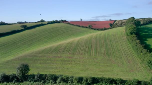 Arriba Hacia Abajo Desde Dron Villages Meadows Fields Devon Inglaterra — Vídeos de Stock