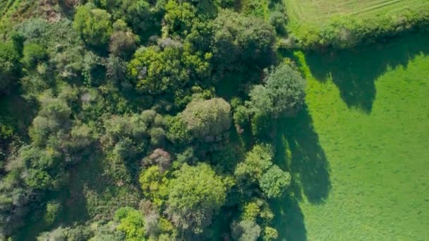 Top Drone Aldeias Meadows Fields Devon Inglaterra Europa — Vídeo de Stock