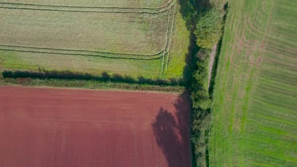 Top Από Ένα Drone Villages Meadows Fields Devon Αγγλία Ευρώπη — Αρχείο Βίντεο