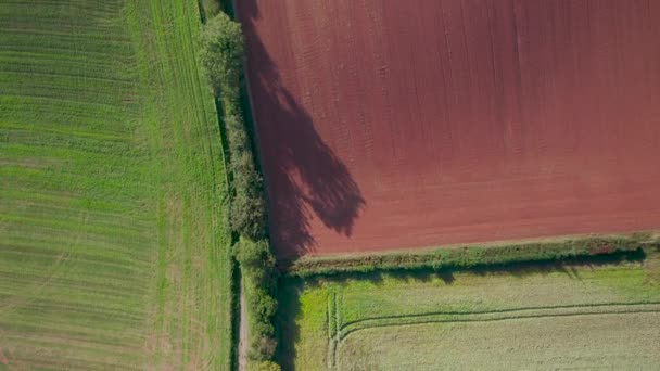 Arriba Hacia Abajo Desde Dron Villages Meadows Fields Devon Inglaterra — Vídeo de stock