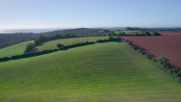 Top Drone Villaggi Prati Campi Devon Inghilterra Europa — Video Stock