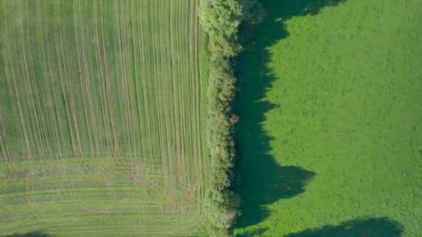 Top Drone Aldeias Meadows Fields Devon Inglaterra Europa — Vídeo de Stock