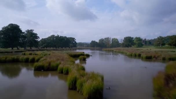 Καναδάς Geese Pond Powderham Park Powderham Castle Drone Exeter Devon — Αρχείο Βίντεο
