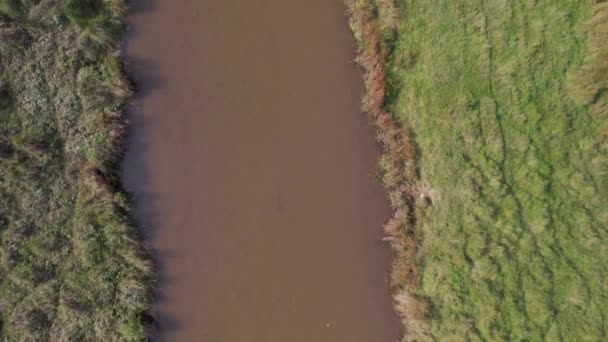 River Kenn Powderham Park Drone Powderham Castle Exeter Devon Inghilterra — Video Stock