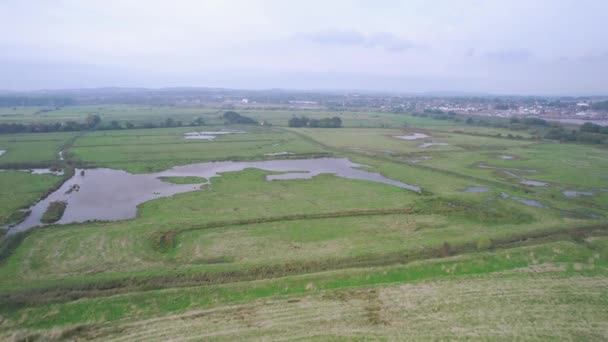 Wetlands Meadows Rspb Exminster Powderham Marshe Drone Exeter Devon Anglia — Wideo stockowe