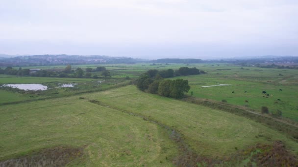 Wetlands Meadows Rspb Exminster Powderham Marshe Drone Exeter Devon England — Stock Video